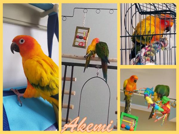 /Images/uploads/Congregation Beth Emeth/bethemeth/entries/17539thumb.jpg